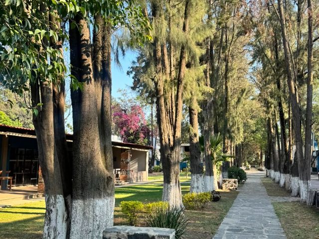 place photo 36
