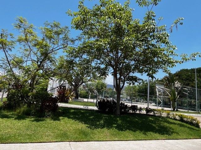 place photo 33