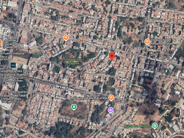 place photo 5
