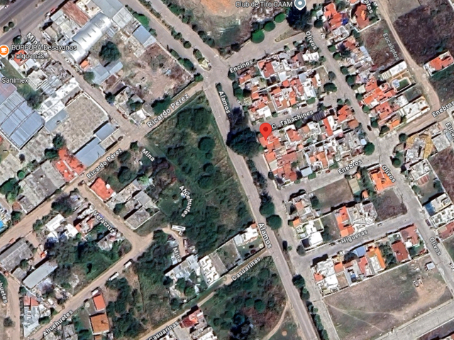 place photo 6
