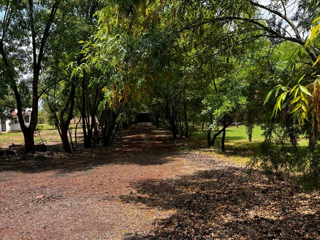 place photo 54