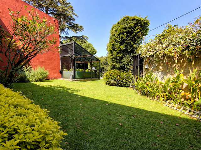 place photo 33