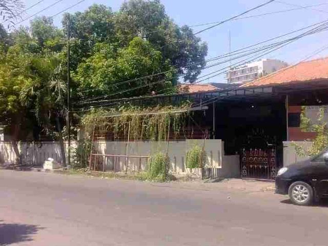 place photo 19