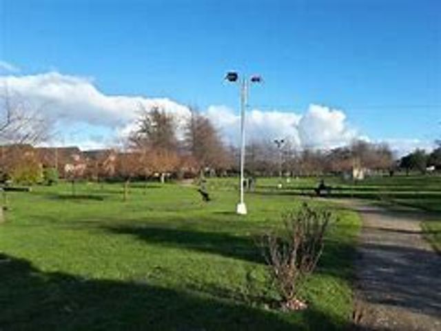 place photo 23