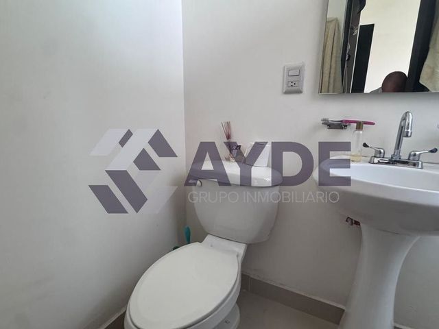 place photo 14