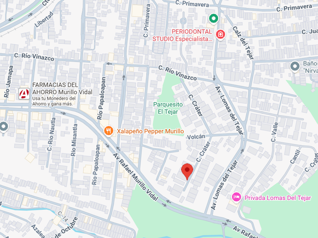 place photo 5