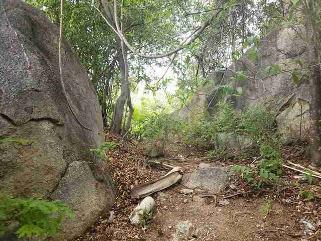 place photo 10