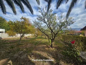 place photo 19