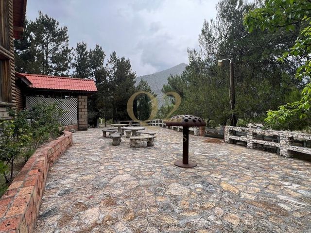 place photo 39