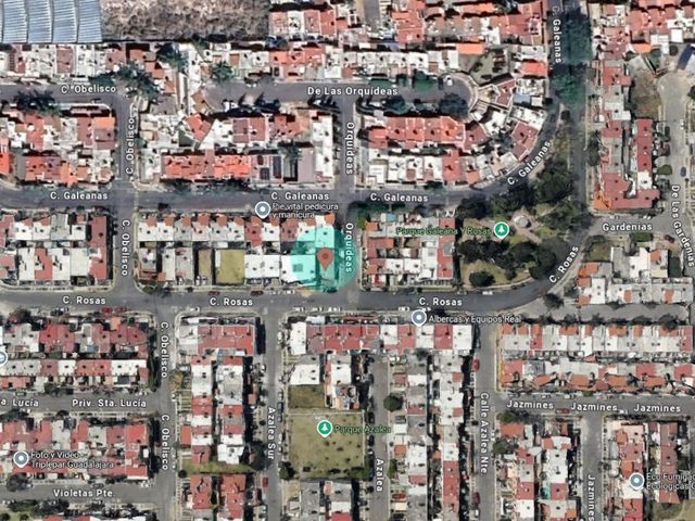place photo 8