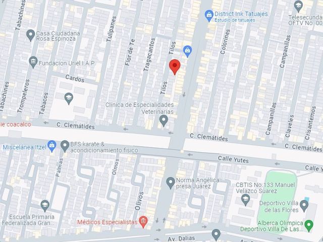 place photo 10
