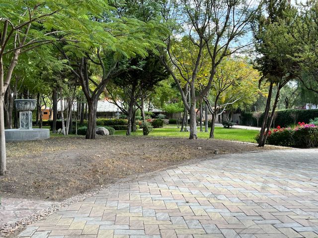 place photo 29