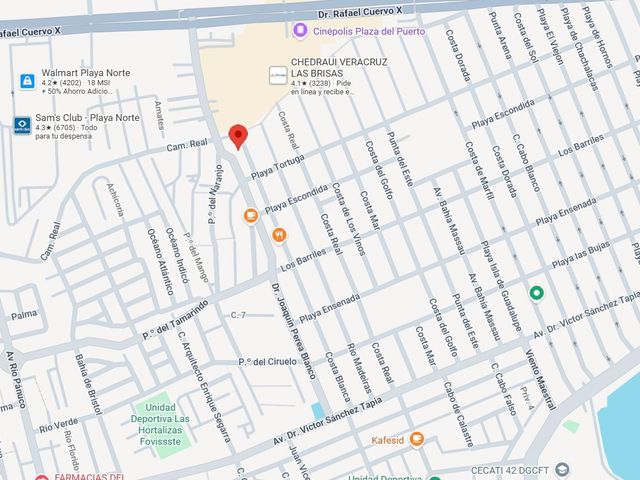 place photo 21