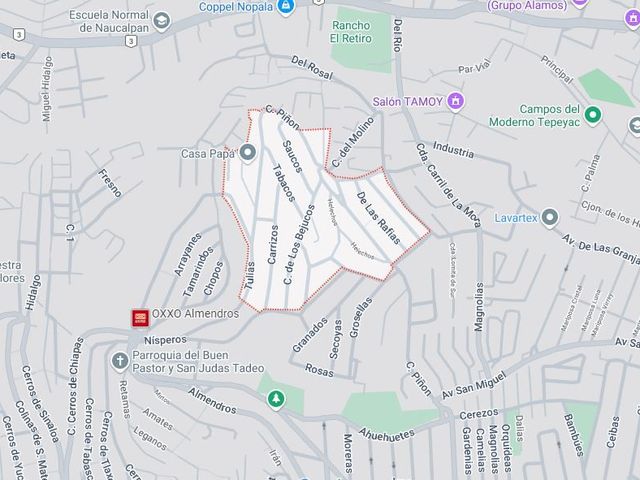 place photo 9