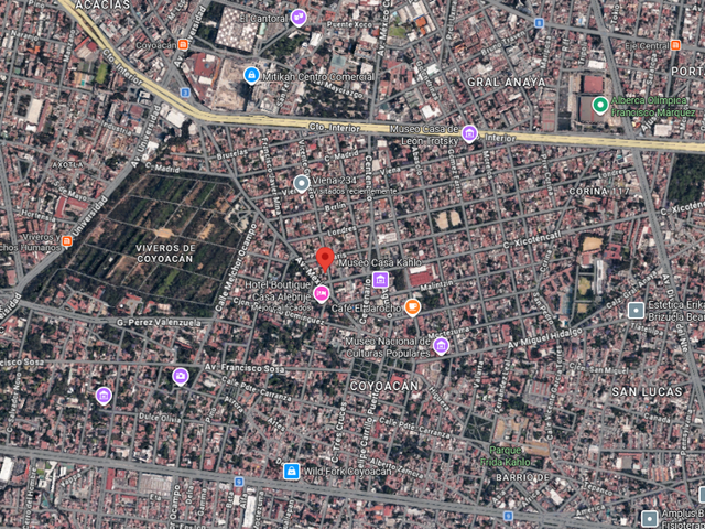 place photo 7