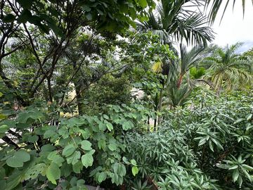 place photo 30