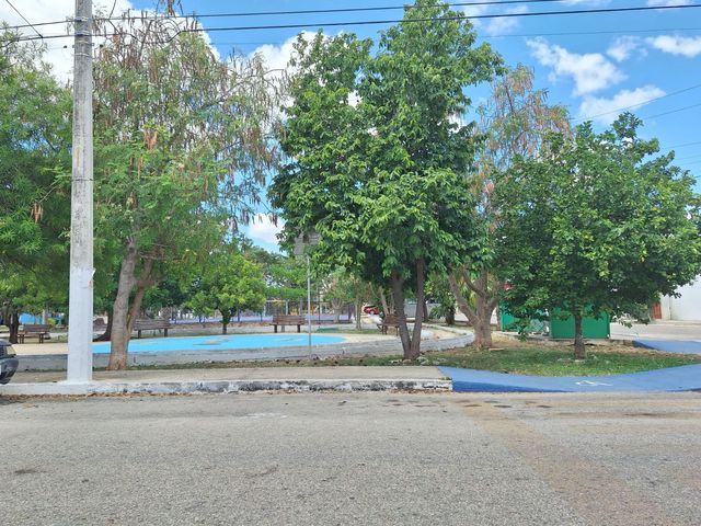 place photo 11