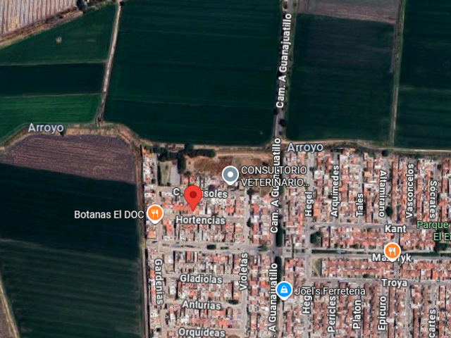 place photo 10