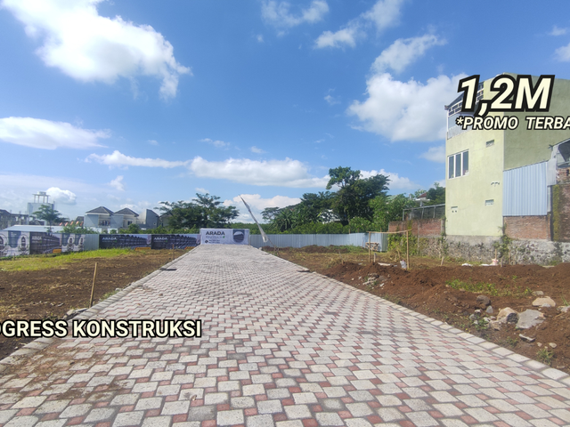 place photo 5