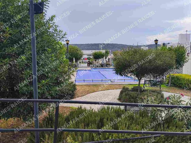 place photo 29