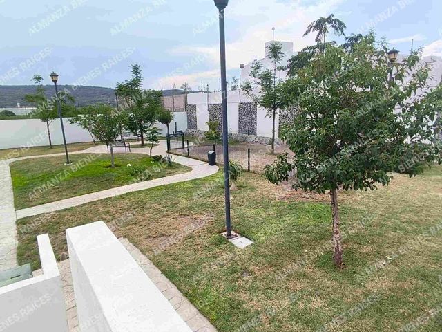 place photo 43