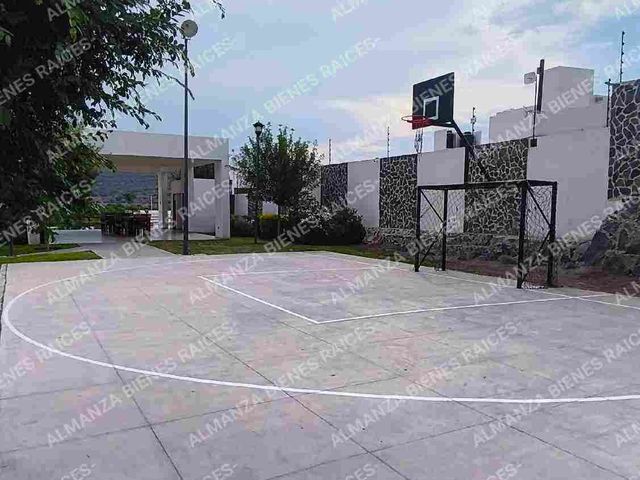 place photo 40