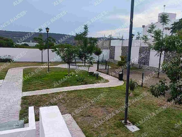 place photo 44