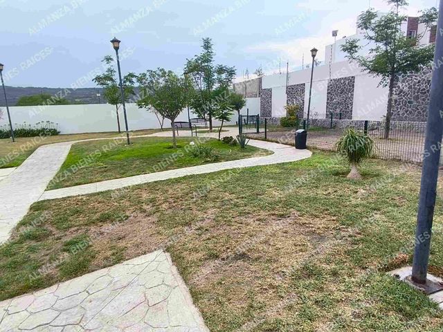 place photo 46