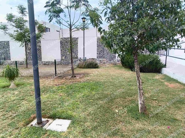 place photo 45