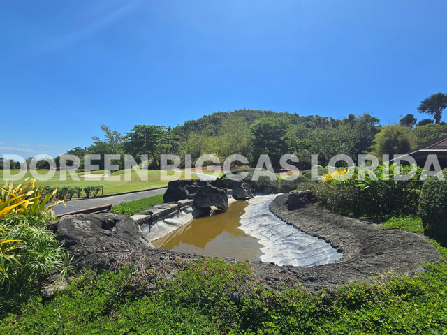 place photo 46