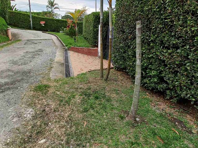 place photo 43