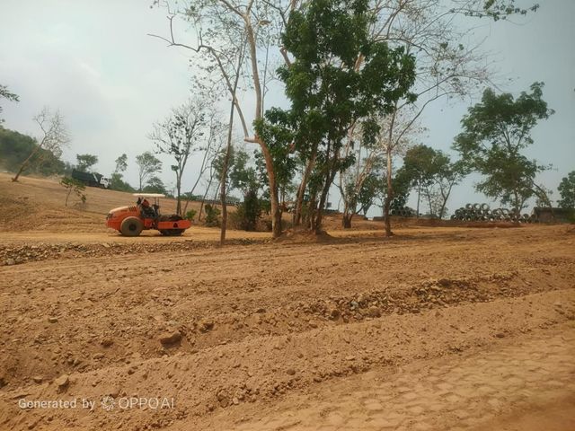place photo 26