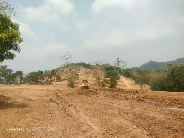 place photo 30