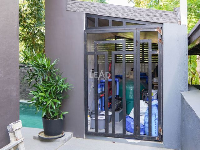 place photo 80