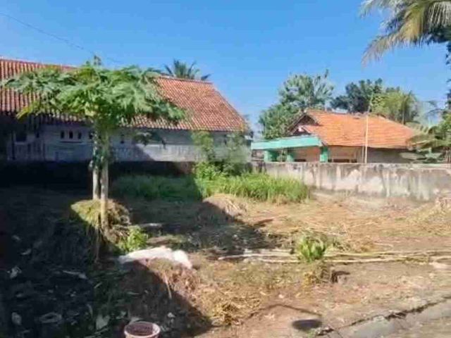 place photo 9