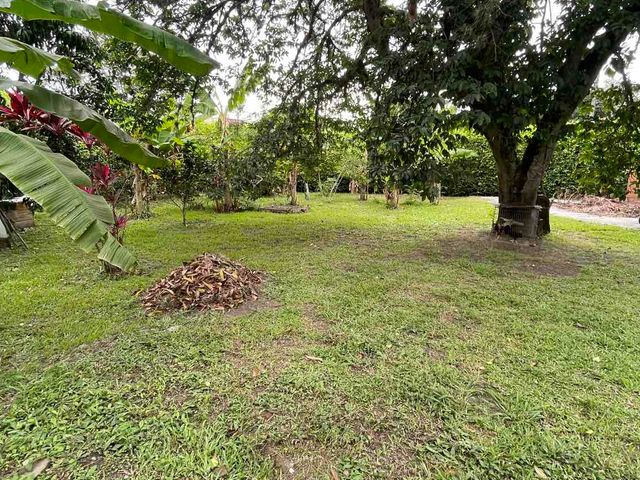 place photo 45