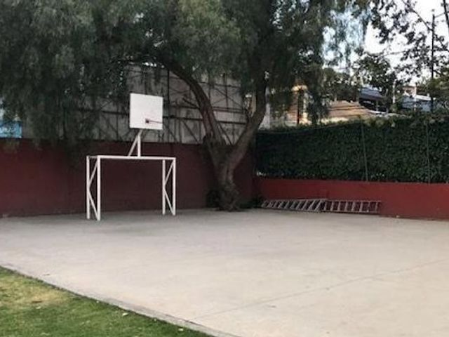 place photo 17