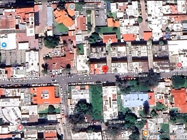 place photo 7