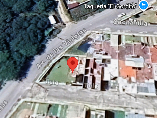 place photo 5