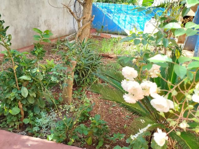 place photo 34