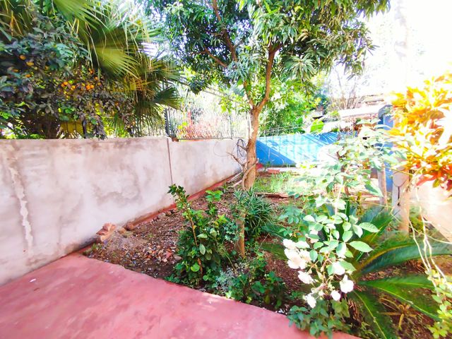 place photo 49