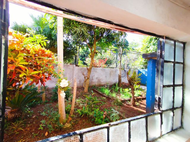 place photo 50
