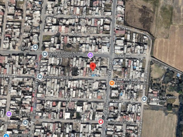 place photo 6
