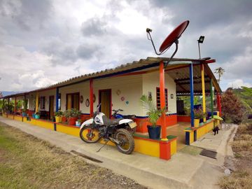 place photo 22