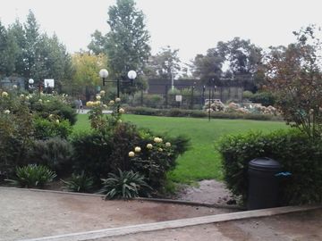 place photo 16