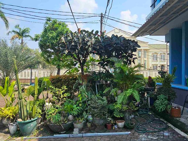 place photo 18