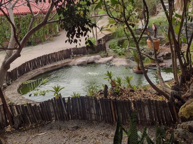 place photo 29