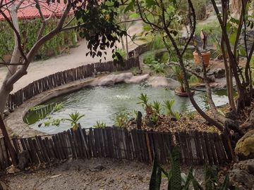 place photo 29