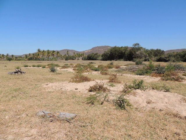 place photo 11