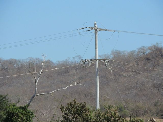 place photo 31